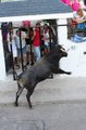 ESTE VÍDEO PUEDE DAÑAR SU SENSIBILIDAD - SUSTOS Y COGIDAS  bullfighting festival Crazy bull attack people #318