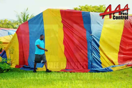 TERMITES / FUMIGATION TENTING AAA PEST CONTROL