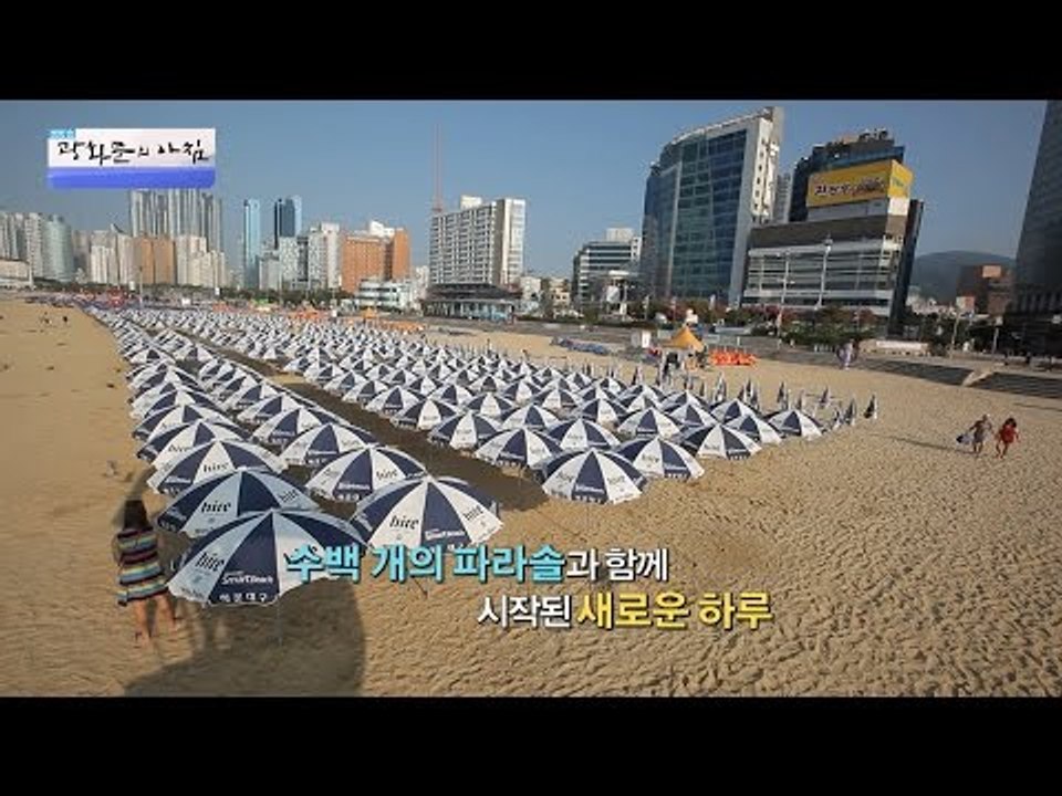 이들이 있기에 아침마다 깔끔한 해운대! [광화문의 아침] 294회 20160811