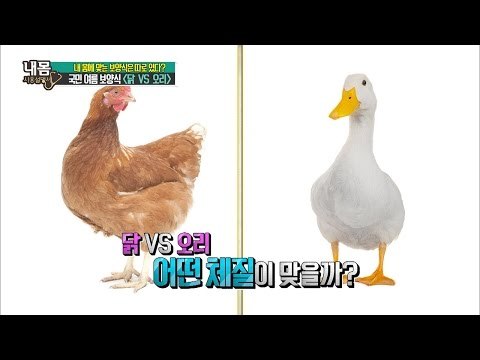 닭 VS 오리, 나에게 맞는 보양식은? [내 몸 사용설명서] 115회 20160812