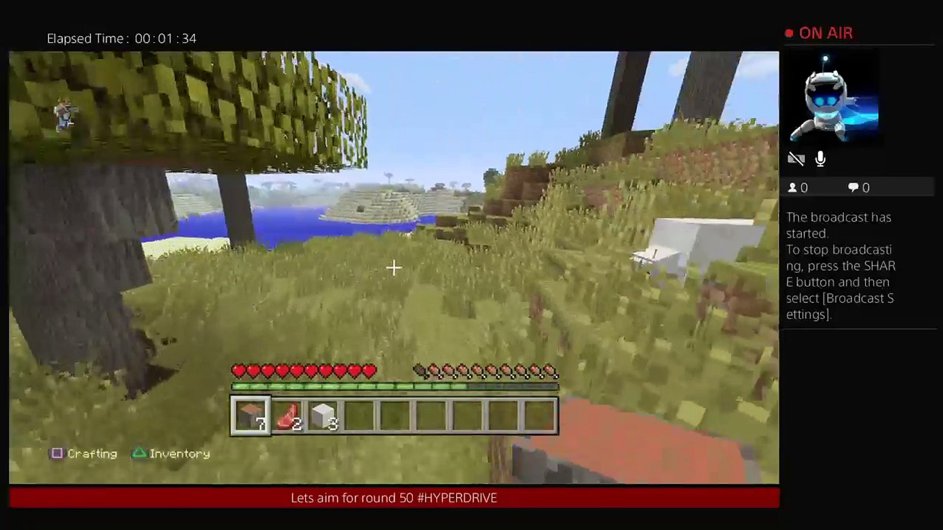 Minecraft: 100% Survival (7)