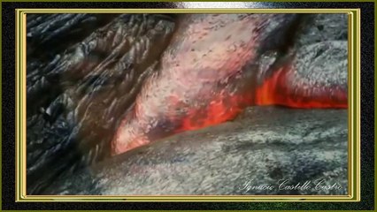 NOSTALGIA TOCCATA FUGA