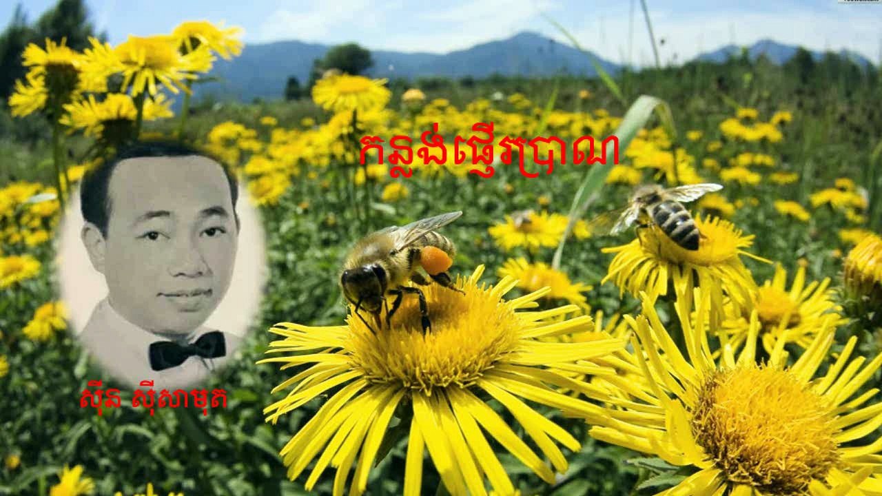 កន្លង់ផ្ញើរប្រាណ