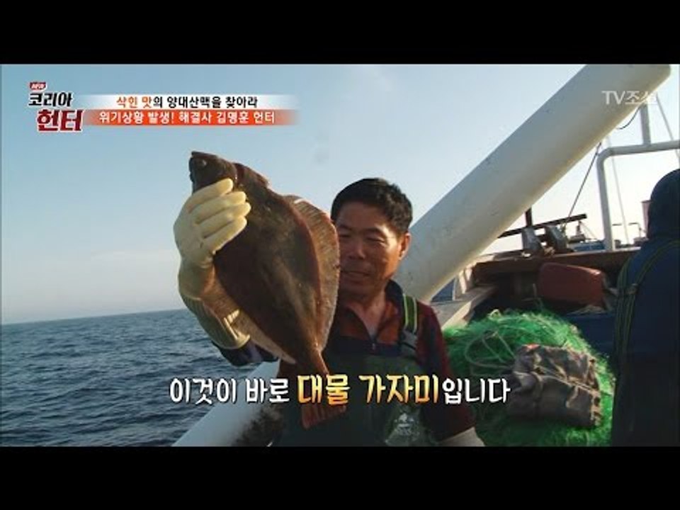거대 가자미의 출몰! 과연 그 크기는? [뉴 코리아 헌터] 48회 20170501
