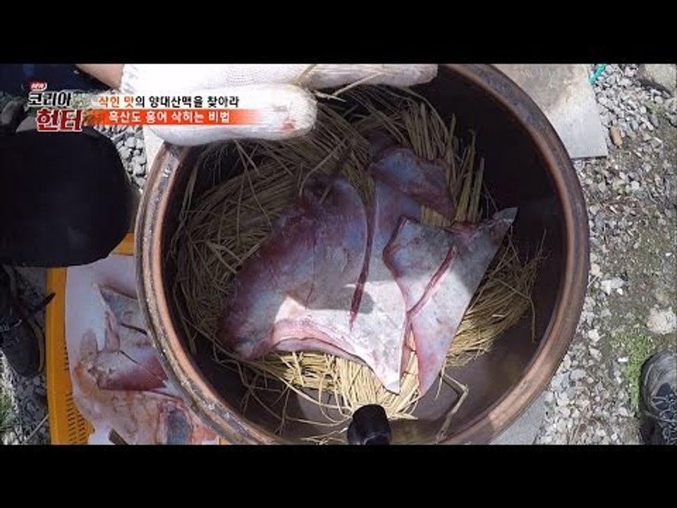 흑산도 홍어 삭히는 과정 대공개! [뉴 코리아 헌터] 48회 20170501