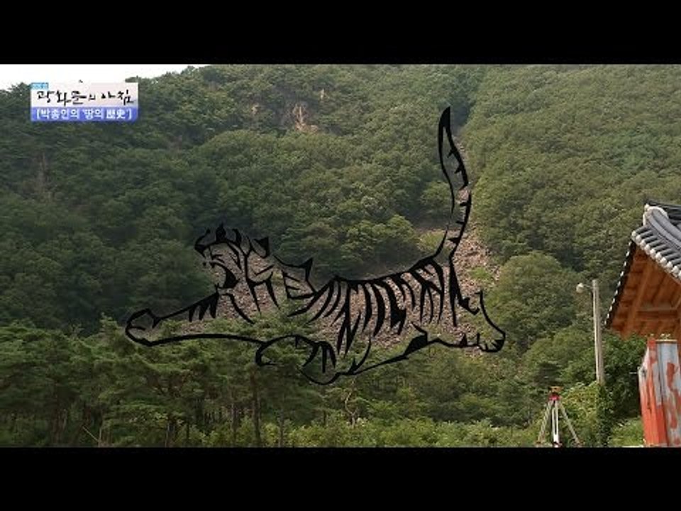 신성한 기가 흐르는 반야사에 숨은 호랑이! [광화문의 아침] 293회 20160810