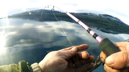 Mars 2017, David, Truite Ferox de 76cm 4,5Kg en Irlande