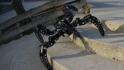 This Six-Legged Robot Is Inspired By Tarantulas