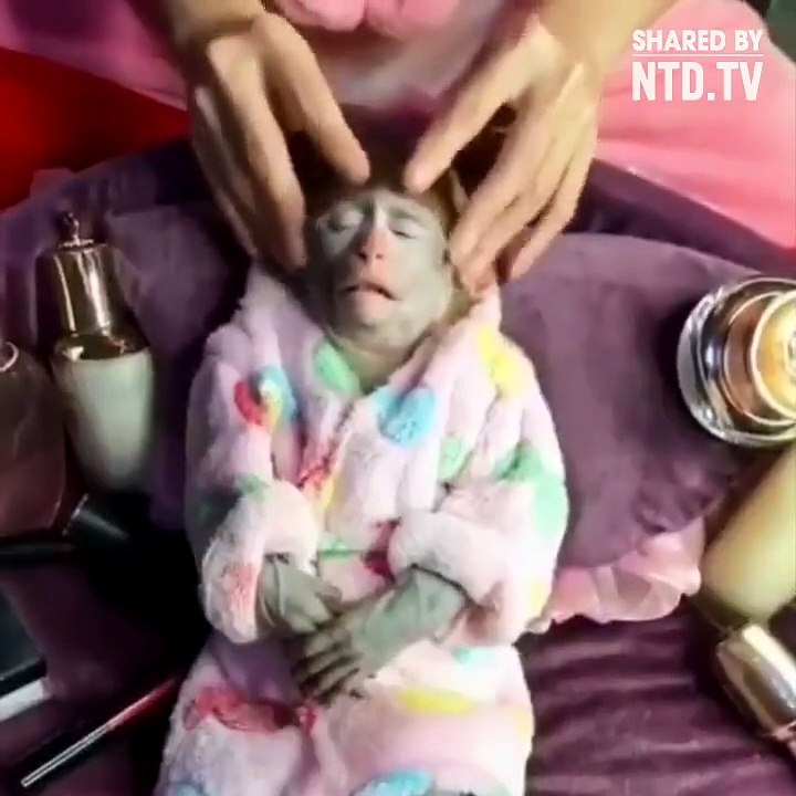 MASAJCI MAYMUN