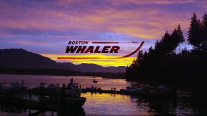 Boston Whaler 315 Conquest Pilothouse