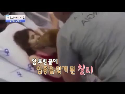 눈물 없이는 볼 수 없는 주인과 반려견의 마지막 인사 [광화문의 아침] 291회 20160808
