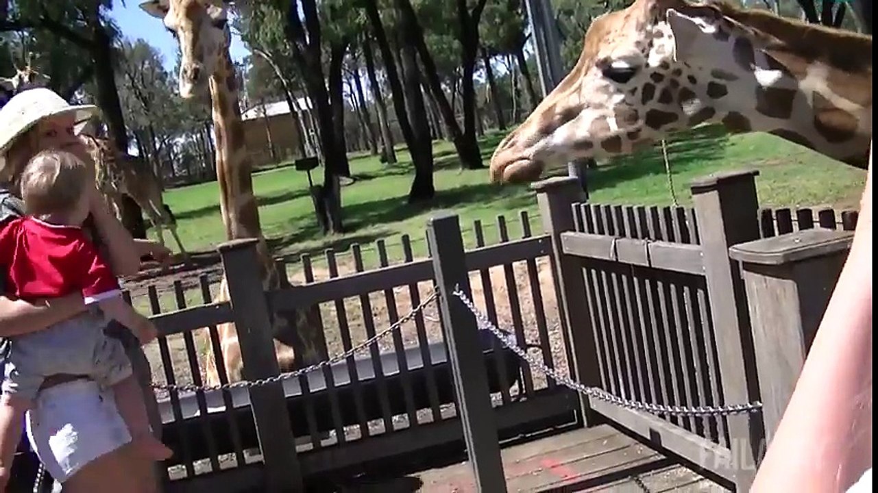 Best Fails of the Week 2 March