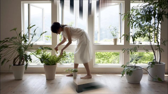 Cash's Custom Lawn Care - (815) 255-8165