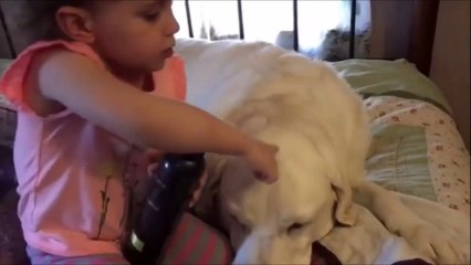 Cette petite fille s’entraîne à être coiffeuse ... avec son chien !
