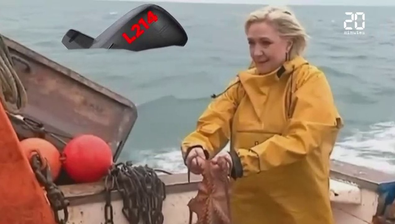 Marine Le Pen, Gilbert Collard et le poulpe !!?