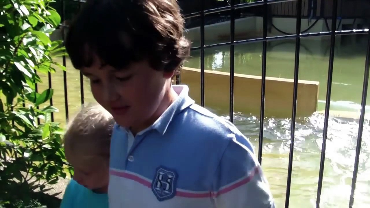 la PUNITION  au Parc d'Attraction Fantasialand sur le roller coaster Taron