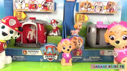 La Pat’ Patrouille Chiot à Héros - Marcus Stella  Figurines Micro-Lite Niche Pup to Hero