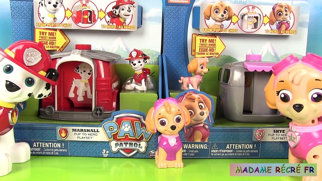 La Pat’ Patrouille Chiot à Héros - Marcus Stella Figurines Micro-Lite Niche Pup to Hero