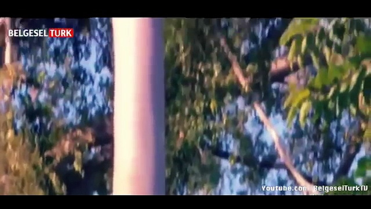 En Vahşi Hayvanlar- Zehir (Dünyanın En Zehirli 10 Hayvanı) [Türkçe Belgesel]