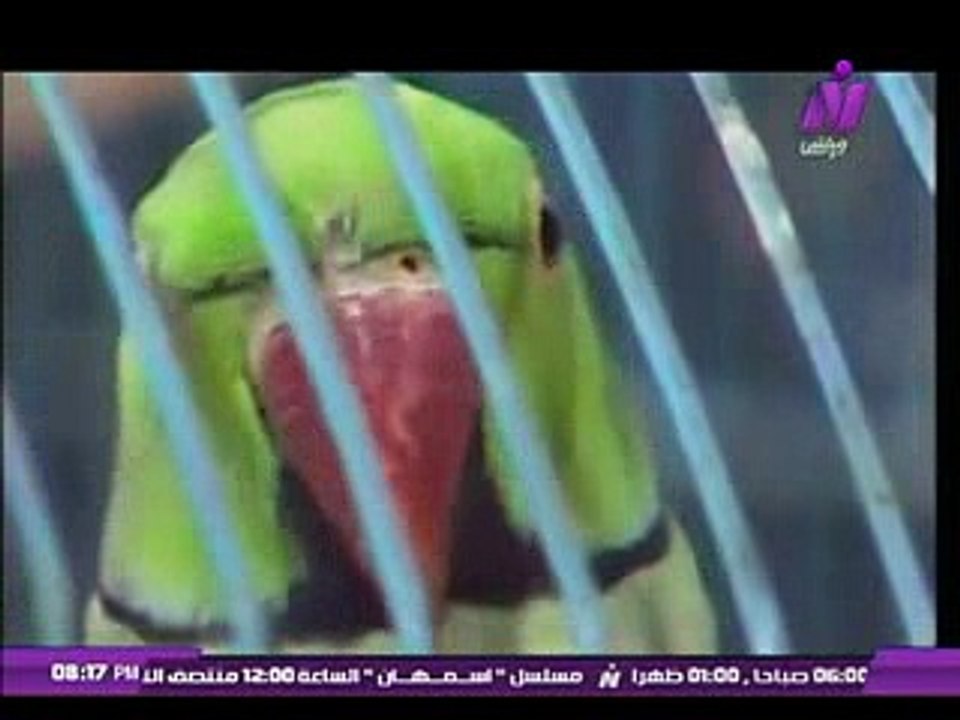 عشانك ياقمر مع الإعلامية سماح عبد الرحمن حلقة أغانى المسلسلات