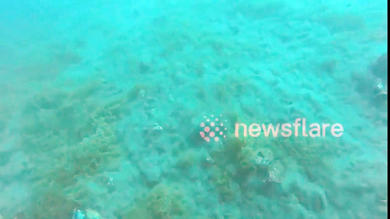 Así se vive un terremoto de magnitud 5,7 cuando estás en el fondo del océano