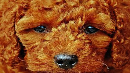 TS 오피쓰 수지오피 수지건마 수지휴게텔 수지키스방 수지마사지