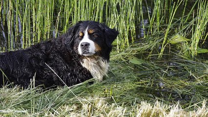 UT 오피쓰 아산오피 아산건마 아산휴게텔 아산키스방 아산마사지