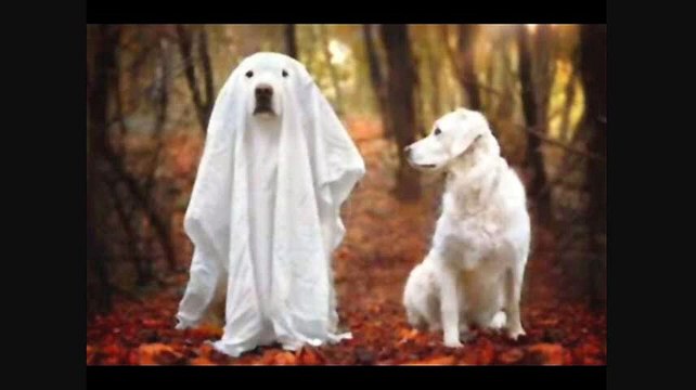 Best Instrumentals - Vol 4 - Karaoké - Time To Say Goodbye (Con Te Partirò)