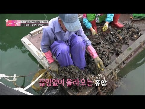 티격태격 노부부가 함께 일하는 법! [엄마의 봄날] 53회 20160807