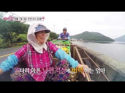 정자 엄마의 사랑은 리어카를 타고_엄마의 봄날 53회 예고