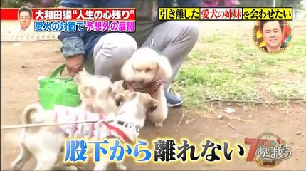 ７時にあいましょうＳＰ_ 2016年8月1日 PART2/2 part 2/2