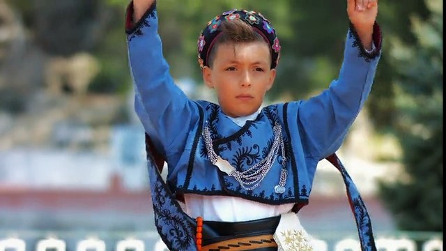 Ali Kurtuluş Şaylı - Ceviz Yaprağı Dal Arasında