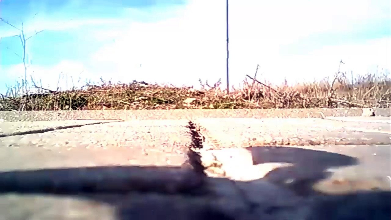 Volando un Drone, Nincoair Visor VR Dia 3 Se Murio