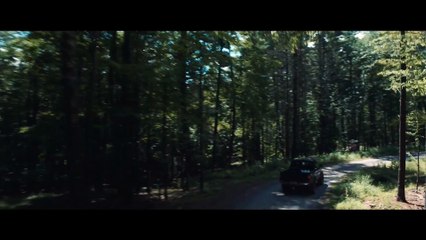 It Comes At Night Movie