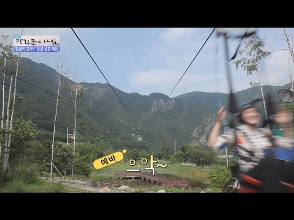 놀러왔다 광속으로 날라가버린 외국인 에바 [광화문의 아침] 289회 20160804