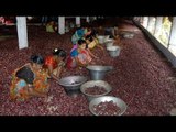 700 kg Onion stolen from Maharashtra wholesale market