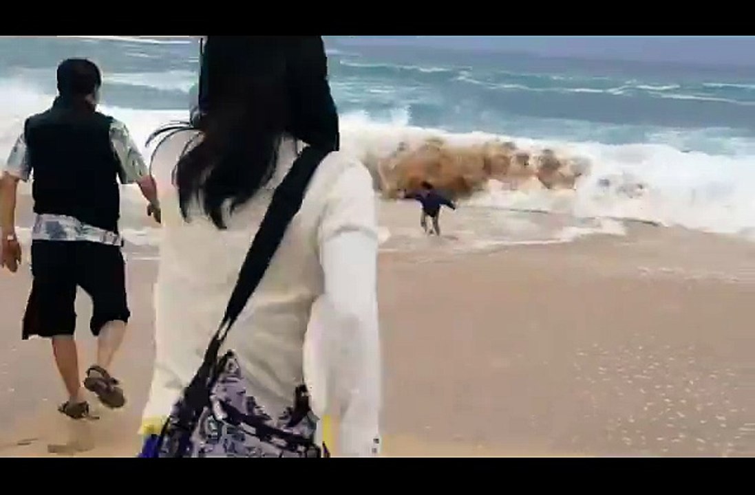 Do not leave your child alone in the sea /لا تترك طفلك لوحده في البحر /