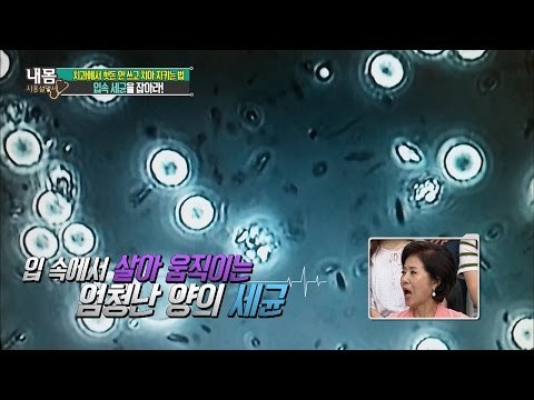 내 입 속에 진짜 세균이 있을까? [내 몸 사용설명서] 114회 20160805