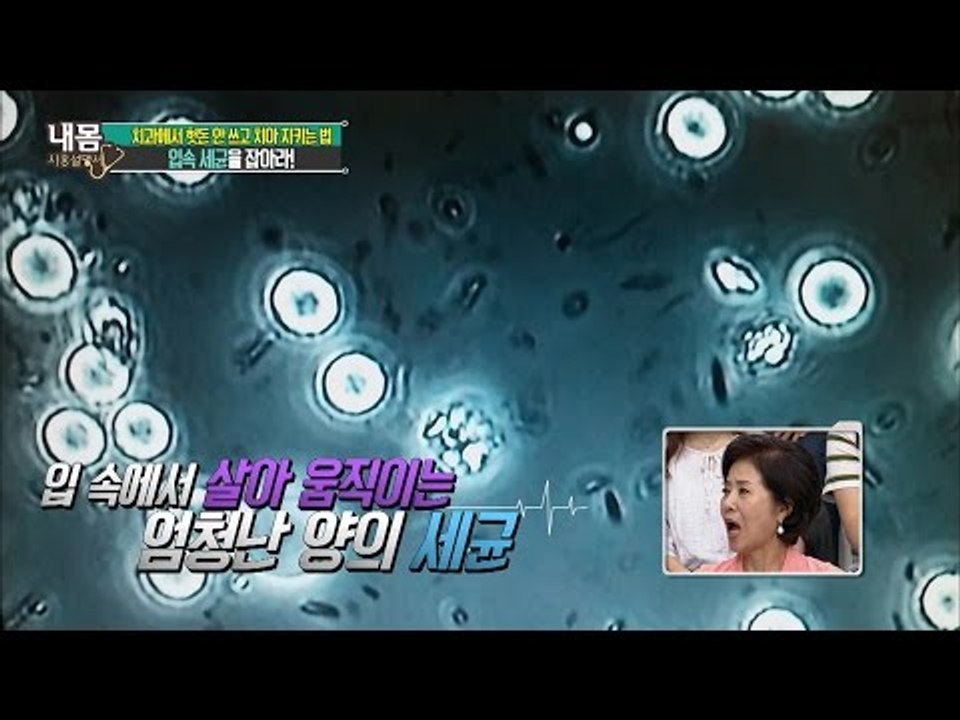 내 입 속에 진짜 세균이 있을까? [내 몸 사용설명서] 114회 20160805