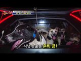 멧돼지 헌터, 무적의 조력자들! [뉴 코리아 헌터] 9회 20160803