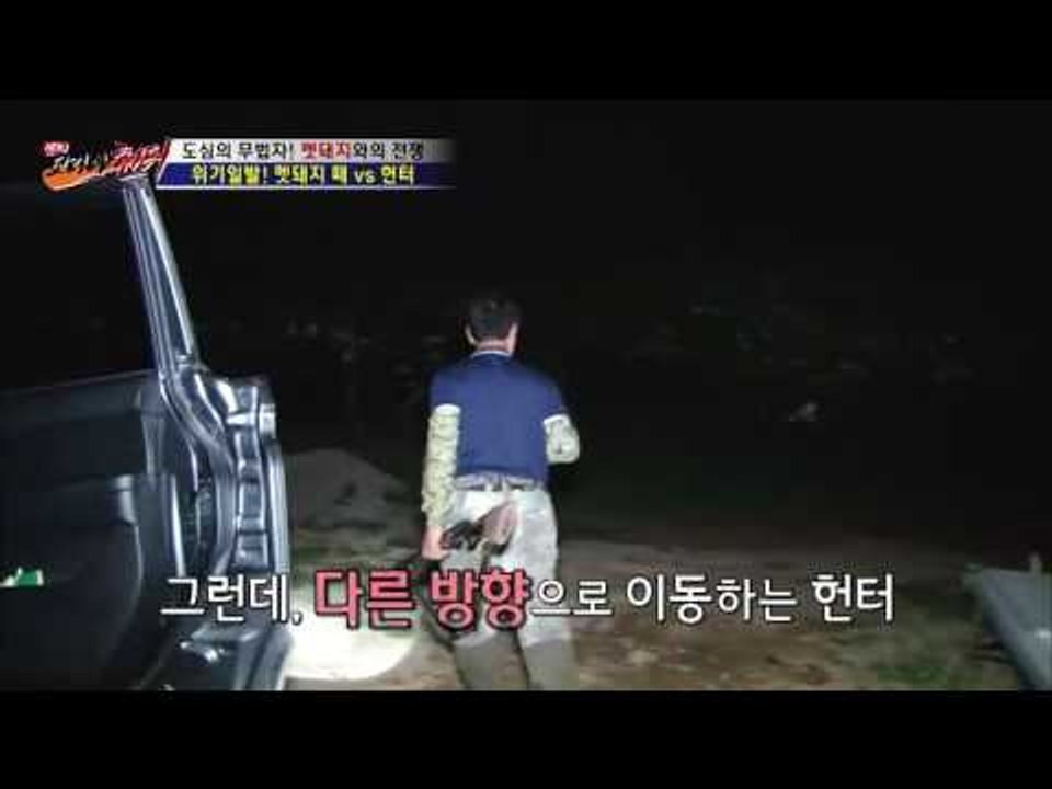 위기의 헌터, 멧돼지 떼가 나타났다!! [뉴 코리아 헌터] 9회 20160803