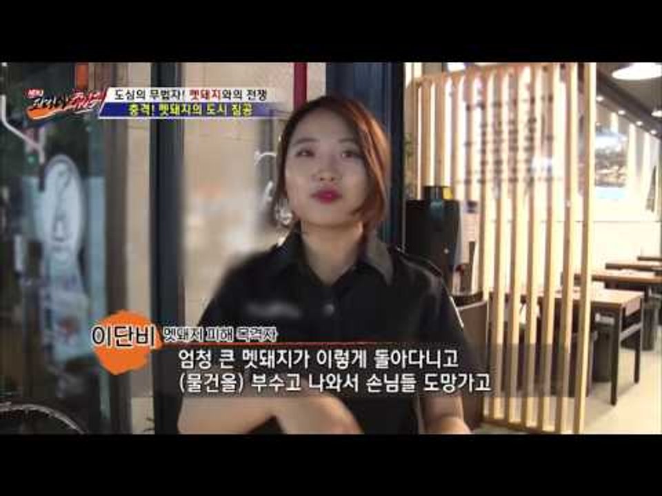 편의점에 나타난 검은 괴물, 정체는? [뉴 코리아 헌터] 9회 20160803