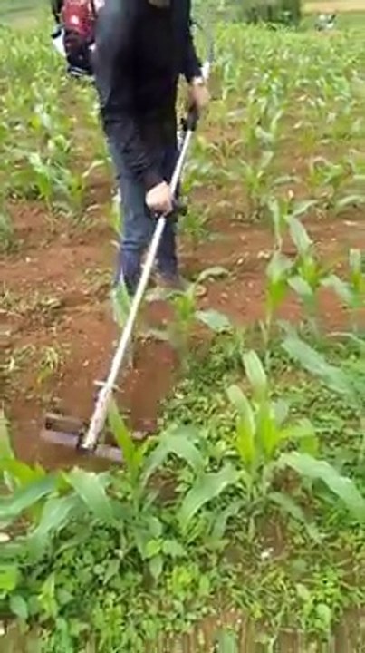 عزاقة رائعة Weed and soil rollers