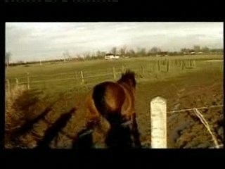 Ourasi, le roi fainéant