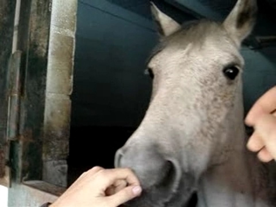 n' IngO <33 =D