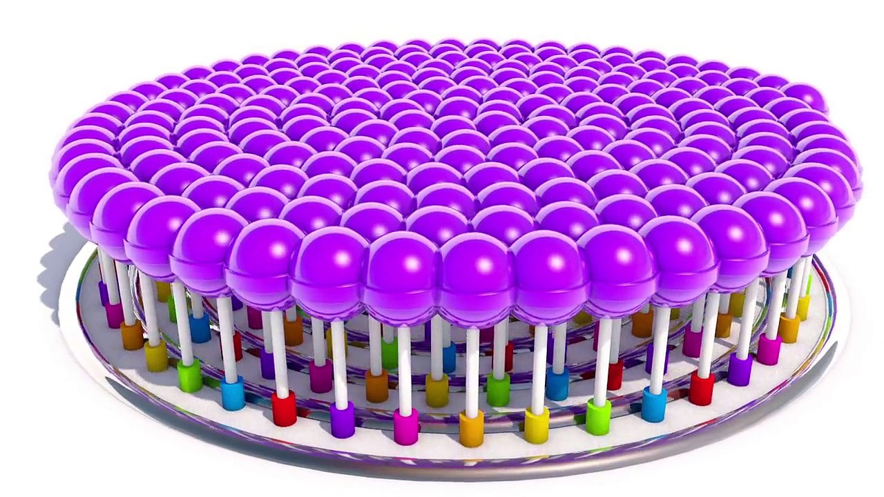 A lot of 3D Lollipops. Many candys for kids to learning colors