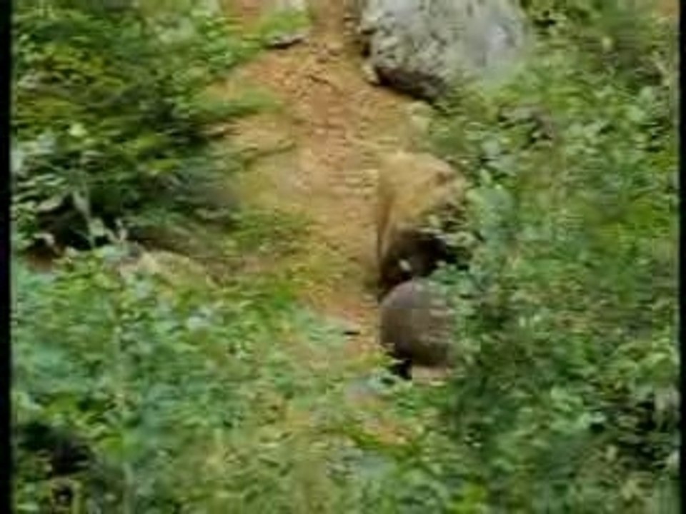 Montagne