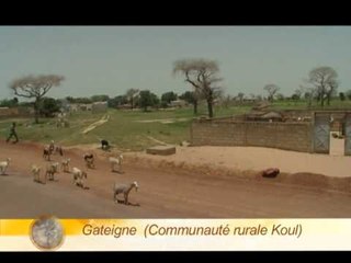 Demb - Faluu - 08 janvier 2012