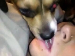 Dog Drinks From Mom's Mouth Full Hd