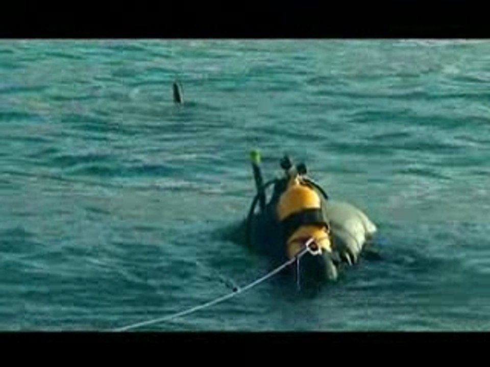 Making of de la série Mammifères marins